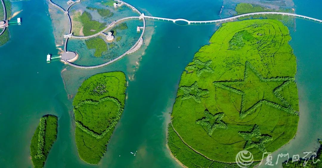 672dc892900d6.jpg 672dc892900d6.jpg