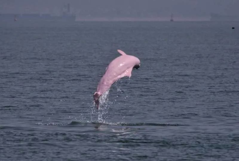 672dc8c3e5f70.jpg 672dc8c3e5f70.jpg