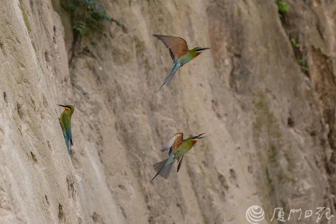 672dc8f2f19d2.jpg 672dc8f2f19d2.jpg